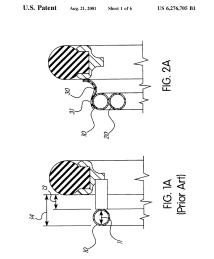 U.S. Patent No. 6,276,705