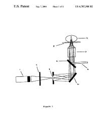 U.S. Patent No. 6,787,308