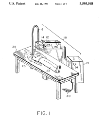 U.S. Patent No. 5,595,568