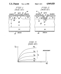 U.S. Patent No. 4,969,028