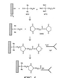 U.S. Patent No. 5,077,210