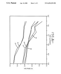 U.S. Patent No. 6,221,534